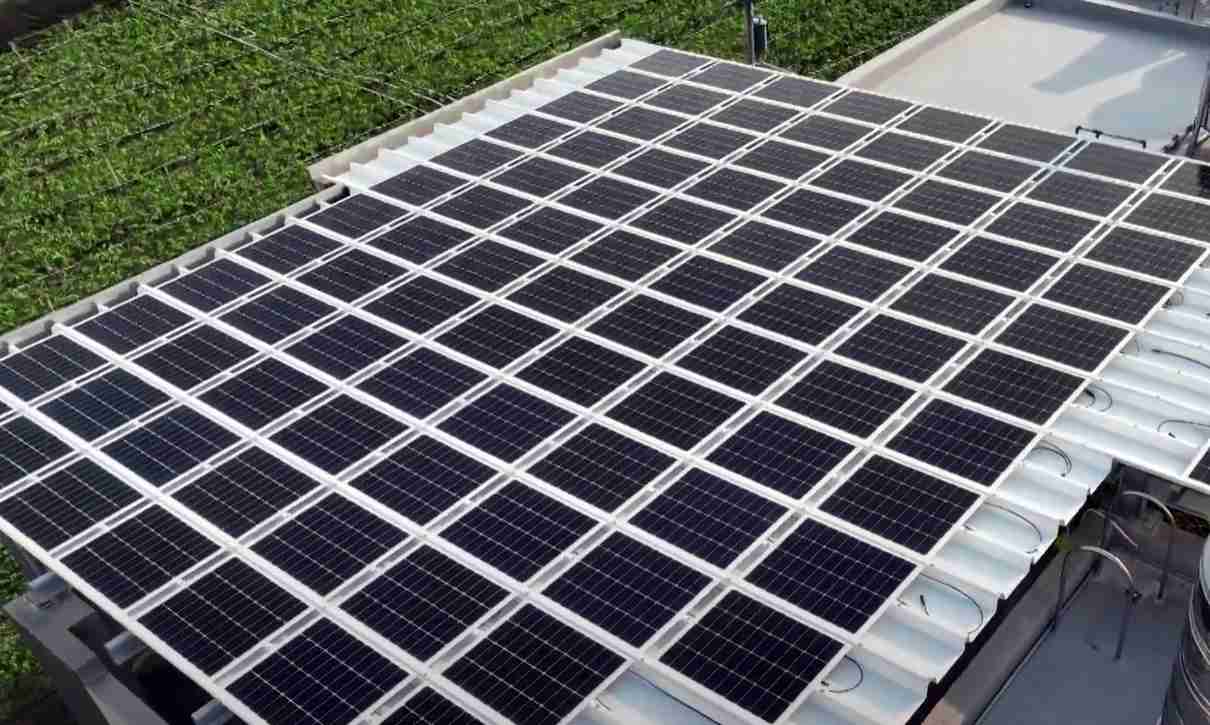 2468BETSunSteel光电浪板升级双玻结构，，，，以提升机械负载强度及气候耐候度，，，可广泛运用于多元场域